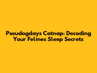 Pseudogdays Catnap: Decoding Your Feline's Sleep Secrets