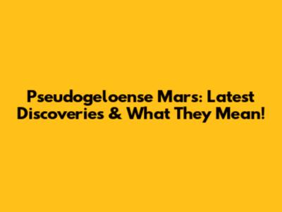 Pseudogeloense Mars: Latest Discoveries & What They Mean!