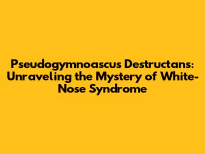Pseudogymnoascus Destructans: Unraveling the Mystery of White-Nose Syndrome
