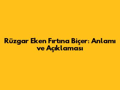 Rüzgar Eken Fırtına Biçer: Anlamı ve Açıklaması
