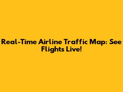 Real-Time Airline Traffic Map: See Flights Live!