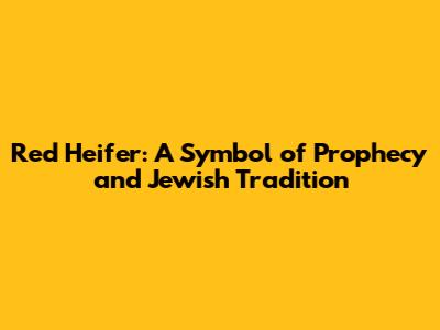 Red Heifer: A Symbol of Prophecy and Jewish Tradition