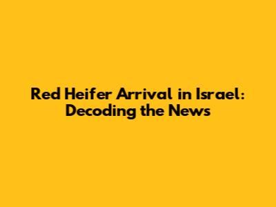 Red Heifer Arrival in Israel: Decoding the News