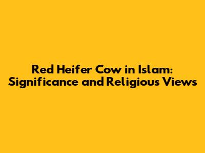 Red Heifer Cow in Islam: Significance and Religious Views