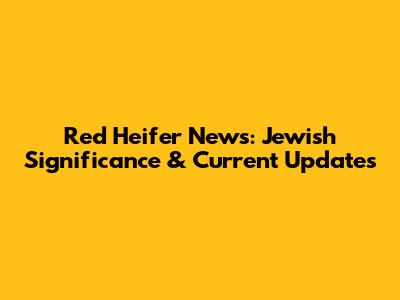 Red Heifer News: Jewish Significance & Current Updates