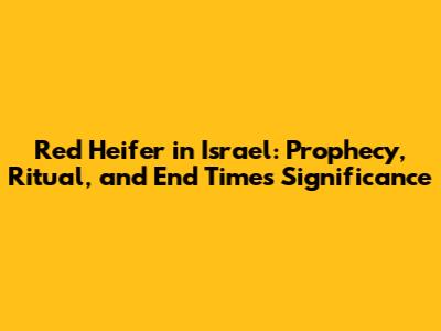 Red Heifer in Israel: Prophecy, Ritual, and End Times Significance