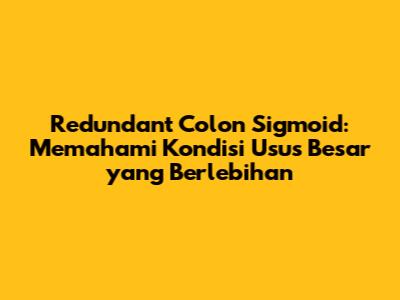 Redundant Colon Sigmoid: Memahami Kondisi Usus Besar yang Berlebihan