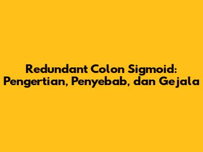 Redundant Colon Sigmoid: Pengertian, Penyebab, dan Gejala