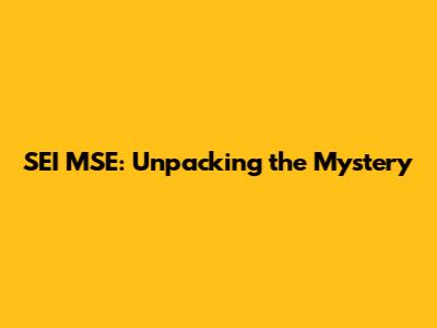 SEI MSE: Unpacking the Mystery