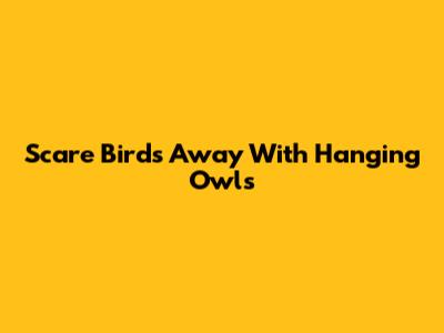 Scare Birds Away With Hanging Owls