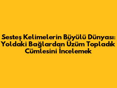 Sesteş Kelimelerin Büyülü Dünyası: 'Yoldaki Bağlardan Üzüm Topladık' Cümlesini İncelemek