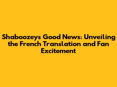 Shaboozey's 'Good News': Unveiling the French Translation and Fan Excitement
