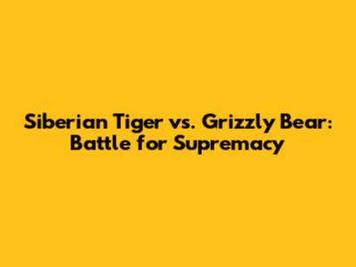 Siberian Tiger vs. Grizzly Bear: Battle for Supremacy