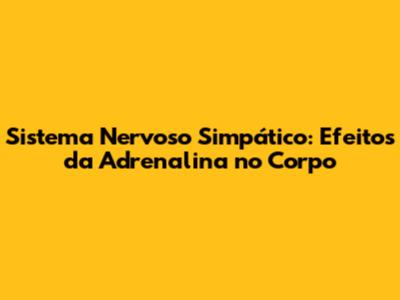 Sistema Nervoso Simpático: Efeitos da Adrenalina no Corpo