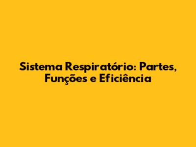 Sistema Respiratório: Partes, Funções e Eficiência