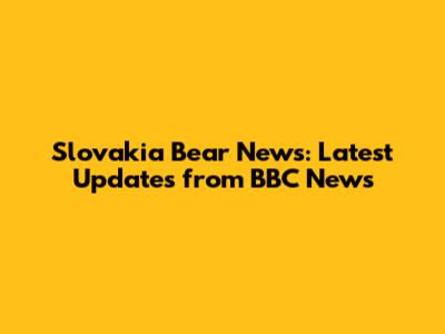 Slovakia Bear News: Latest Updates from BBC News