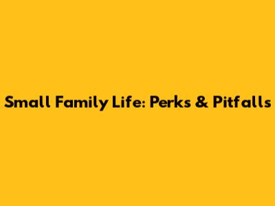 Small Family Life: Perks & Pitfalls