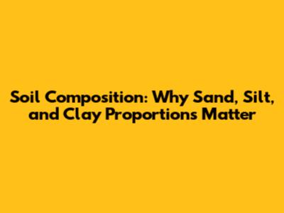 Soil Composition: Why Sand, Silt, and Clay Proportions Matter