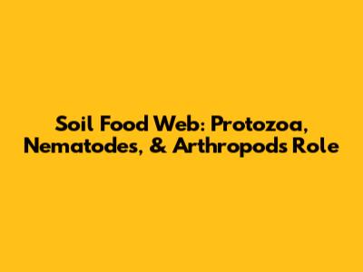 Soil Food Web: Protozoa, Nematodes, & Arthropods Role