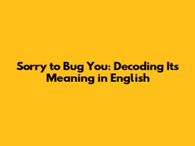 Sorry to Bug You: Decoding Its Meaning in English