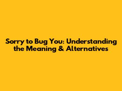 Sorry to Bug You: Understanding the Meaning & Alternatives