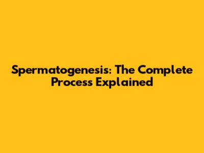 Spermatogenesis: The Complete Process Explained