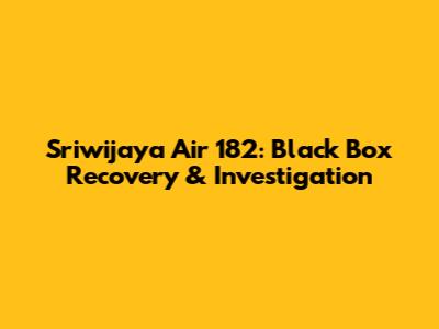 Sriwijaya Air 182: Black Box Recovery & Investigation