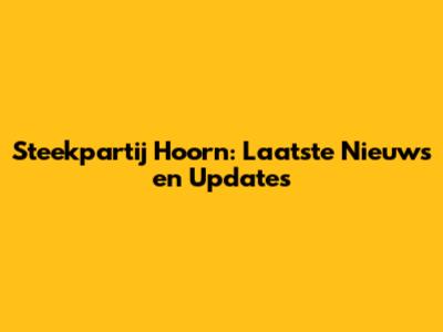 Steekpartij Hoorn: Laatste Nieuws en Updates