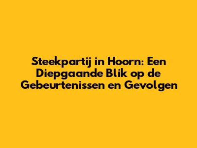 Steekpartij in Hoorn: Een Diepgaande Blik op de Gebeurtenissen en Gevolgen
