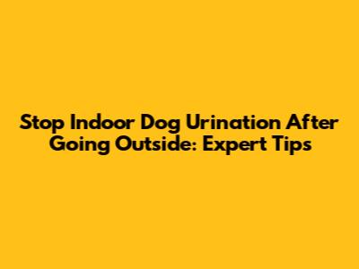 Stop Indoor Dog Urination After Going Outside: Expert Tips