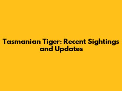 Tasmanian Tiger: Recent Sightings and Updates
