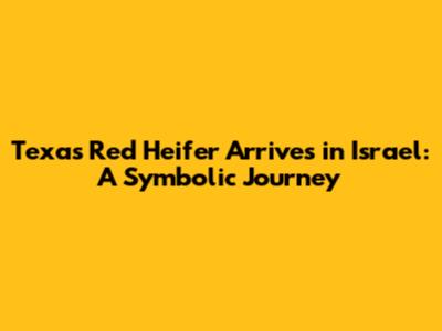 Texas Red Heifer Arrives in Israel: A Symbolic Journey