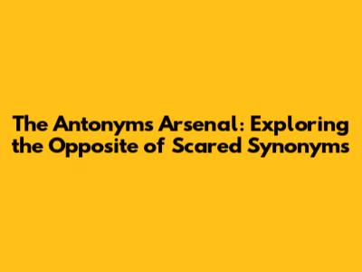 The Antonym's Arsenal: Exploring the Opposite of Scared Synonyms