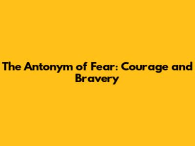 The Antonym of Fear: Courage and Bravery