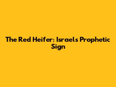 The Red Heifer: Israel's Prophetic Sign