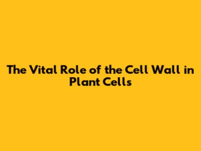 The Vital Role of the Cell Wall in Plant Cells