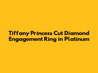 Tiffany Princess Cut Diamond Engagement Ring in Platinum