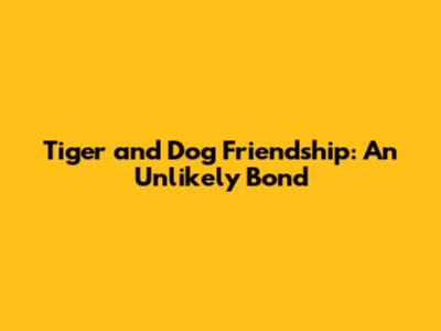 Tiger and Dog Friendship: An Unlikely Bond