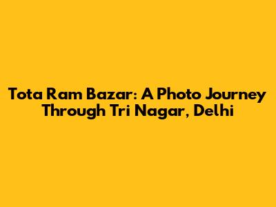 Tota Ram Bazar: A Photo Journey Through Tri Nagar, Delhi