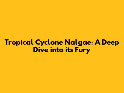 Tropical Cyclone Nalgae: A Deep Dive into its Fury
