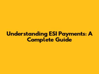 Understanding ESI Payments: A Complete Guide
