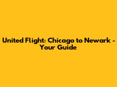 United Flight: Chicago to Newark - Your Guide