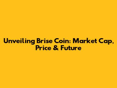 Unveiling Brise Coin: Market Cap, Price & Future