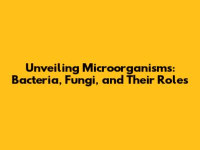Unveiling Microorganisms: Bacteria, Fungi, and Their Roles