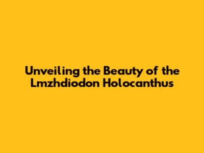 Unveiling the Beauty of the Lmzhdiodon Holocanthus