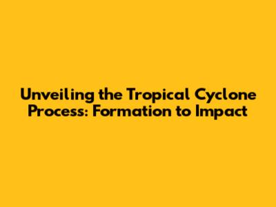 Unveiling the Tropical Cyclone Process: Formation to Impact