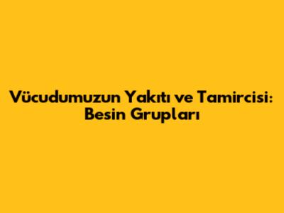 Vücudumuzun Yakıtı ve Tamircisi: Besin Grupları