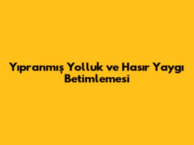 Yıpranmış Yolluk ve Hasır Yaygı Betimlemesi