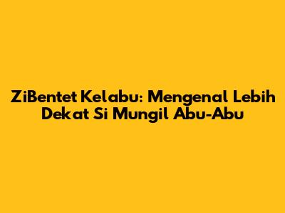 ZiBentet Kelabu: Mengenal Lebih Dekat Si Mungil Abu-Abu