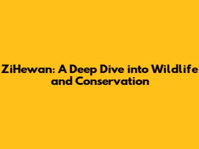 ZiHewan: A Deep Dive into Wildlife and Conservation